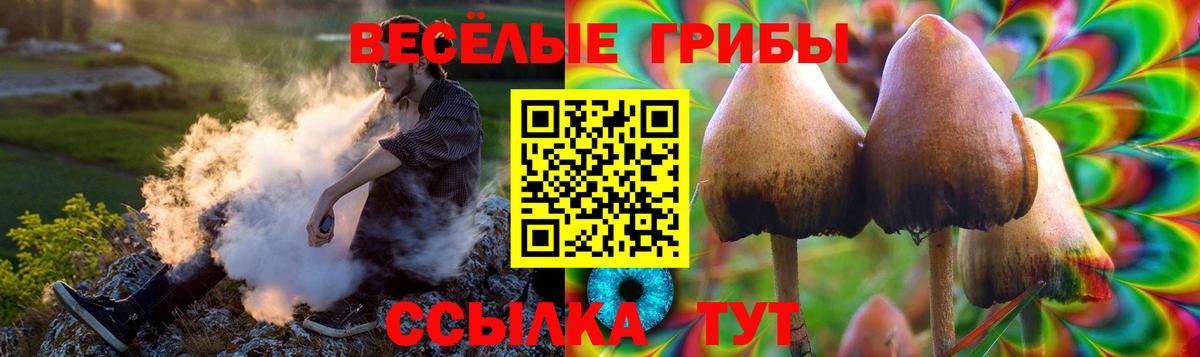 где можно купить наркотик  Псилоцибиновые грибы Magic Shrooms  Вход с VPN  Псилоцибиновые грибы Cubensis  Барабинск 