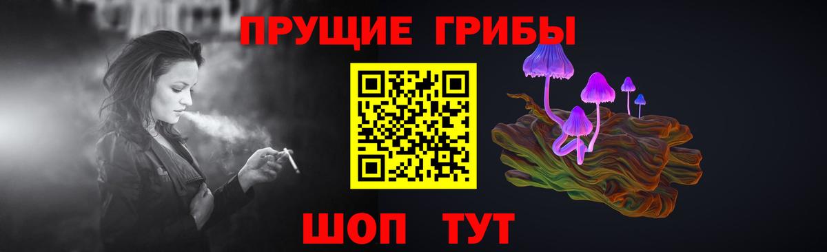 Галлюциногенные грибы Psilocybe Барабинск